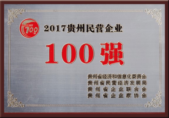 2017贵州民营企业100强